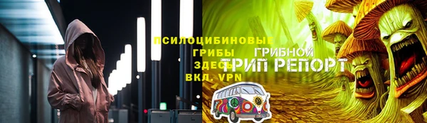 дмт Няндома