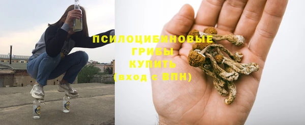 дмт Няндома