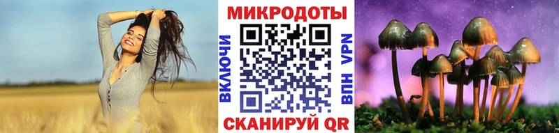 Псилоцибиновые грибы Psilocybe  Плёс 
